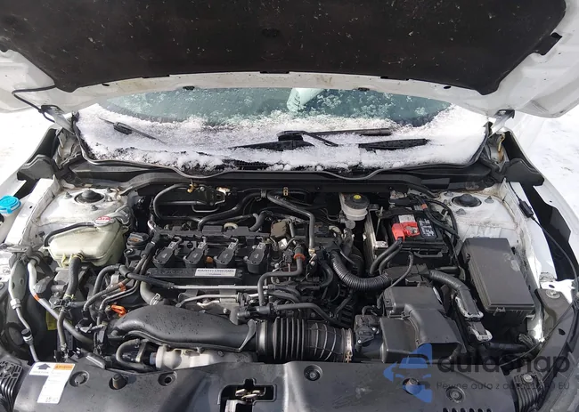 2HGFC3A53LH753794: 44524872