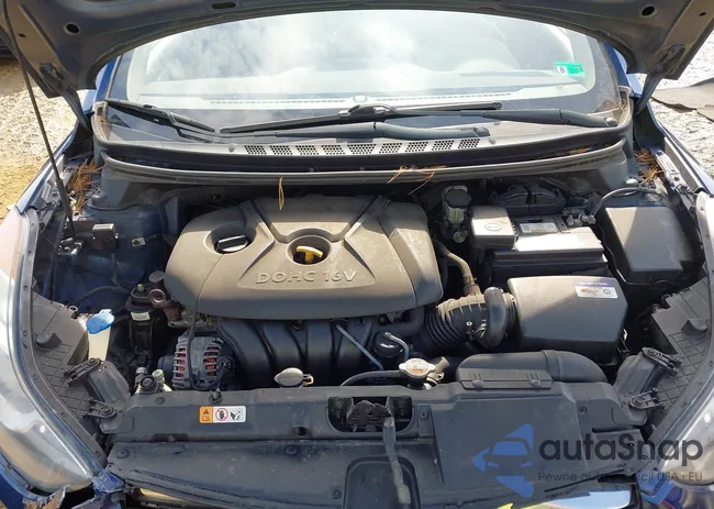 KMHDH4AE2DU703119: 44524907