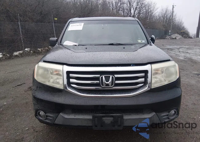 5FNYF4H56EB041492: 44525630