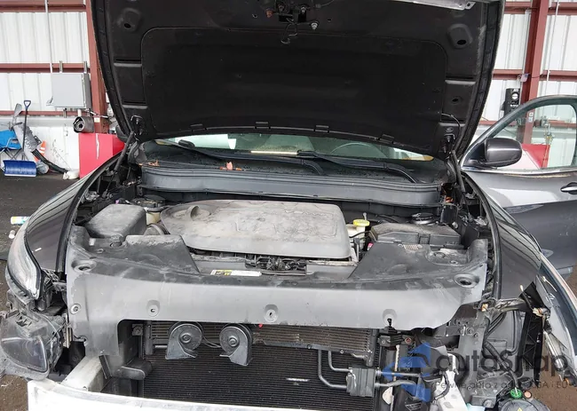 1C4PJMCS9HW504619: 44525743