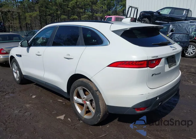 SADCJ2FX9KA366745: 44526124