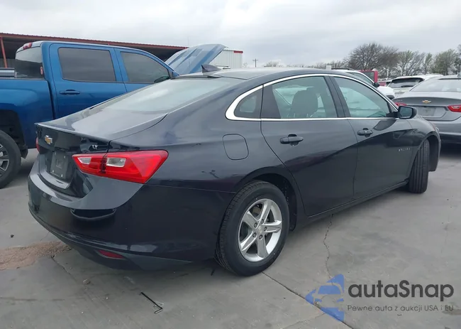 1G1ZD5ST8PF220230: 44525493