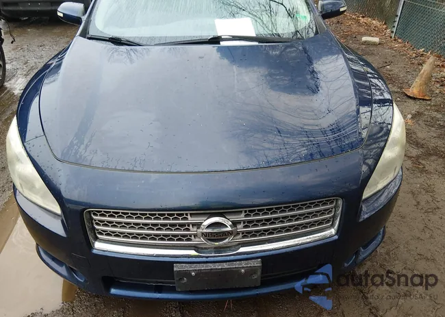 1N4AA51E89C827397: 44526979