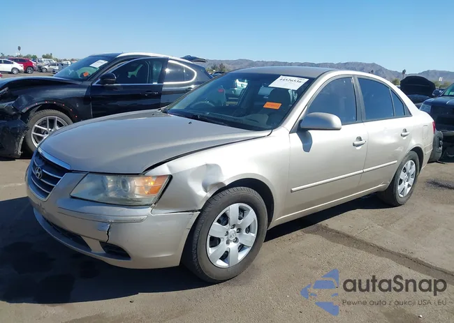 5NPET46C99H561691: 44526536