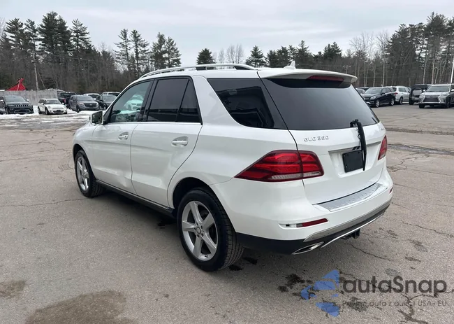 4JGDA5HB2GA781038: 44527702