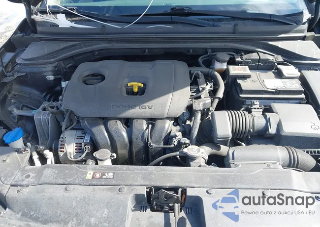 5NPD74LF2LH527923: 44527268