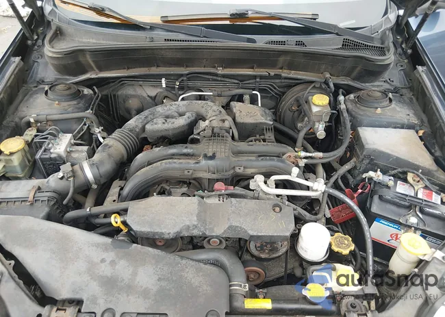 JF2SHADCXBH736509: 44528776