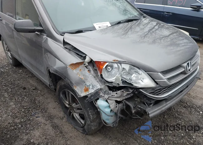 5J6RE4H52AL054779: 44529015