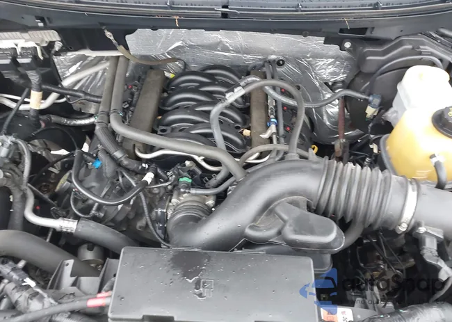 1FTFX1EF2EFB54853: 44529092