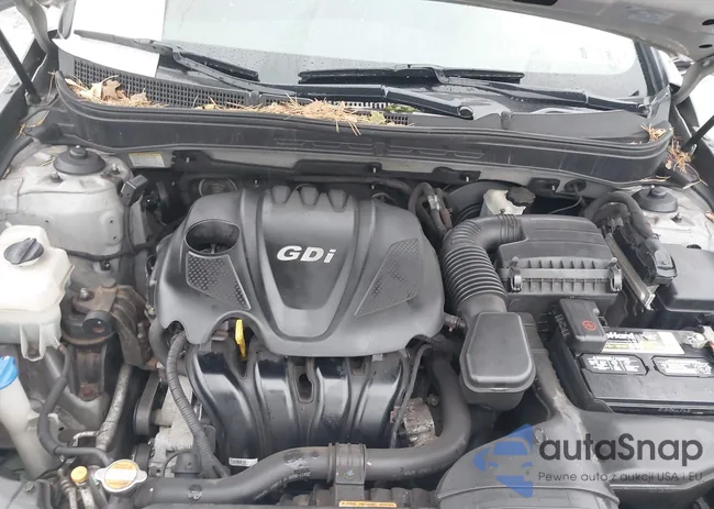 5NPEB4AC7CH345890: 44528280