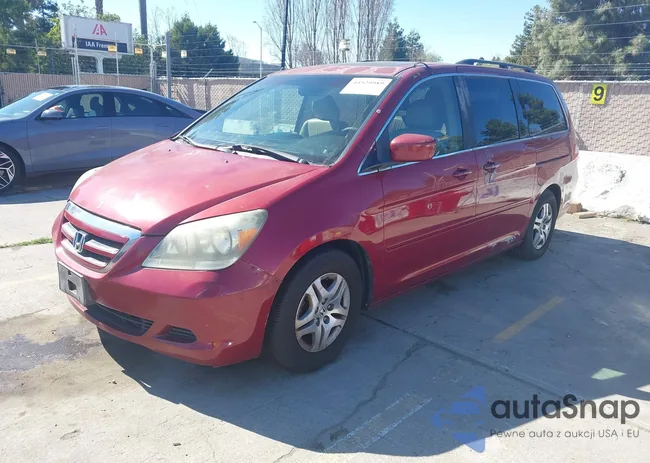 5FNRL38695B045035: 44529989