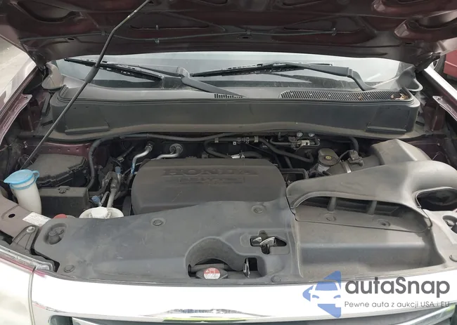 5FNYF4H79CB036561: 44531197