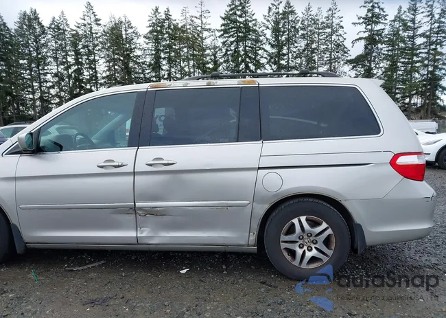 5FNRL38846B053837: 44530289