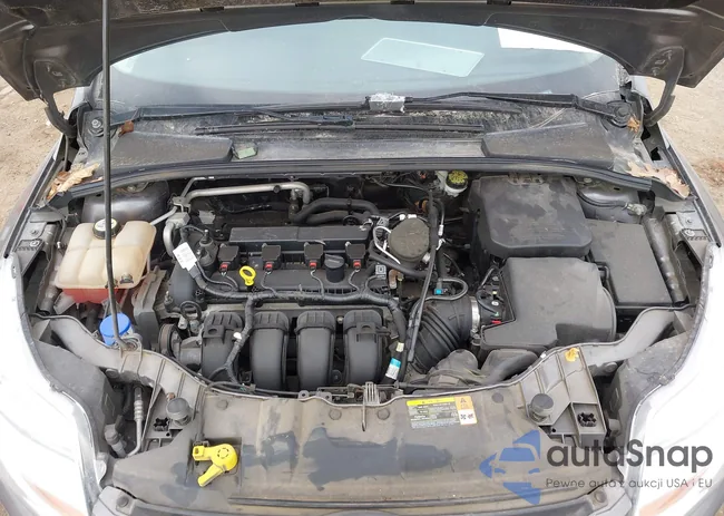 1FADP3E2XDL177335: 44530488