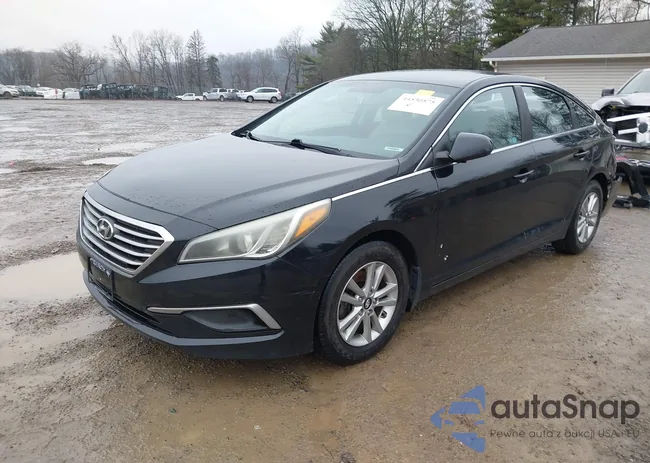 5NPE24AF9HH444065: 44530575