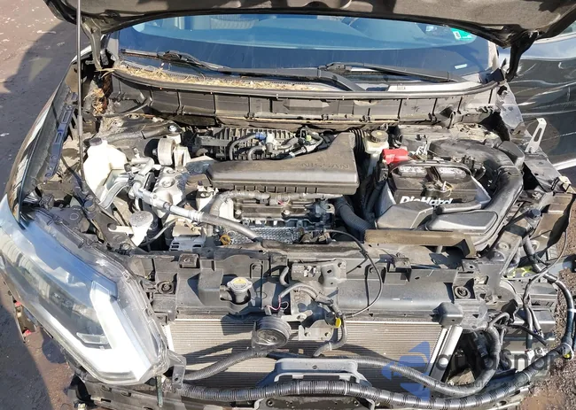 5N1AT2MN3HC823251: 44531635