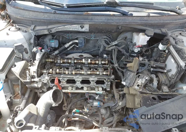 5NPE24AF7GH357831: 44531942