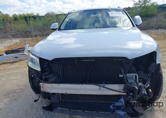 WA1D7AFP9HA009724: 44531569