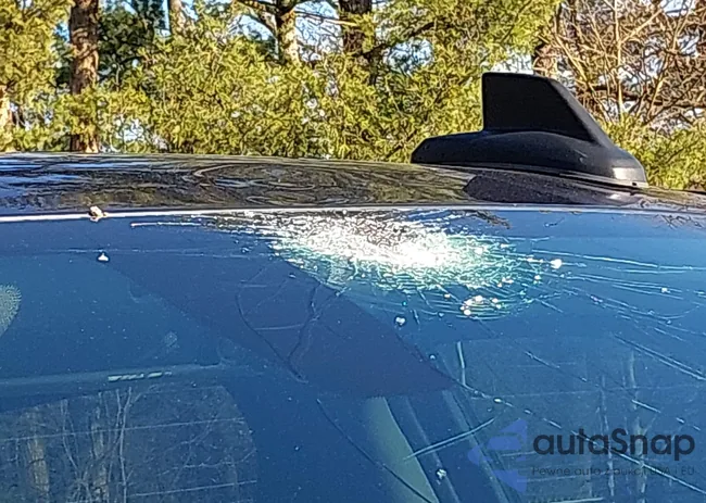 1GCPYFED2MZ392745: 44532853