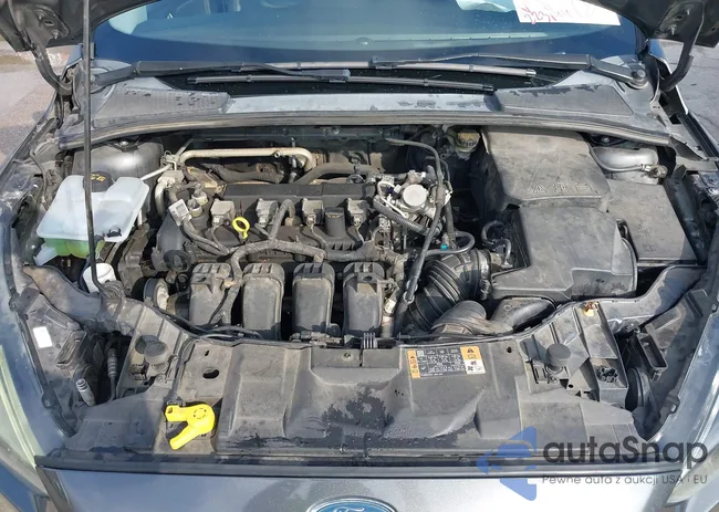 1FADP3K20GL407246: 44533780