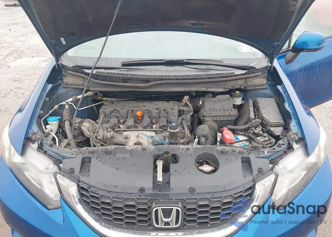 2HGFB2F54DH544183: 44533533