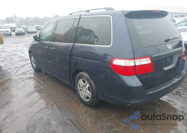 5FNRL38667B043794: 44533595