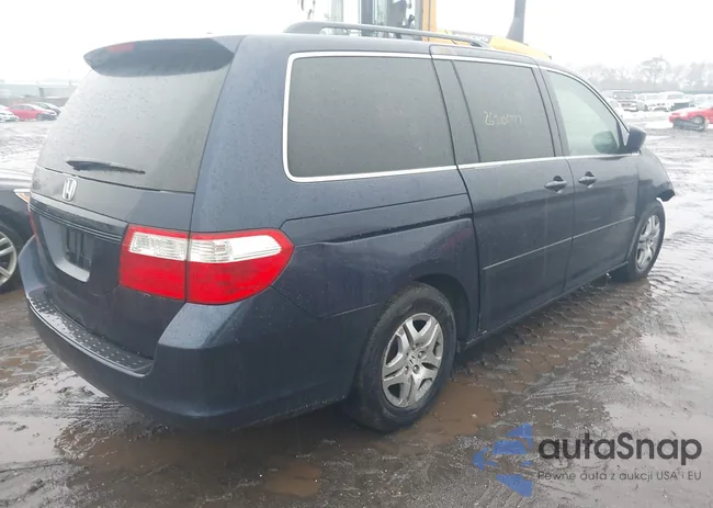 5FNRL38667B043794: 44533595