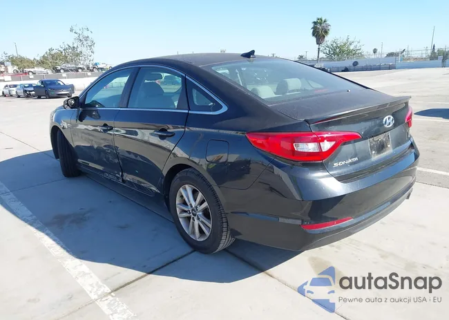 5NPE24AFXGH363736: 44534801