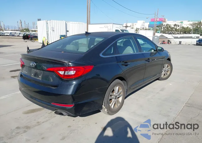 5NPE24AFXGH363736: 44534801