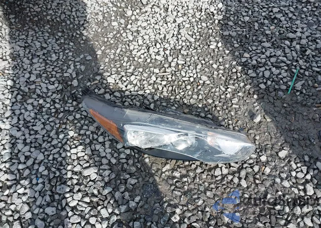 3FADP4EJ8KM130474: 44534337