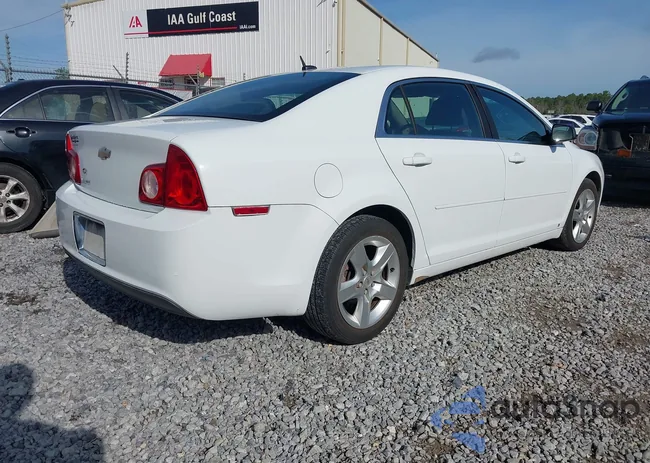 1G1ZB5EB4AF117161: 44534531