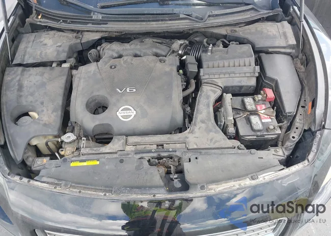 1N4AA5AP9BC828078: 44537060