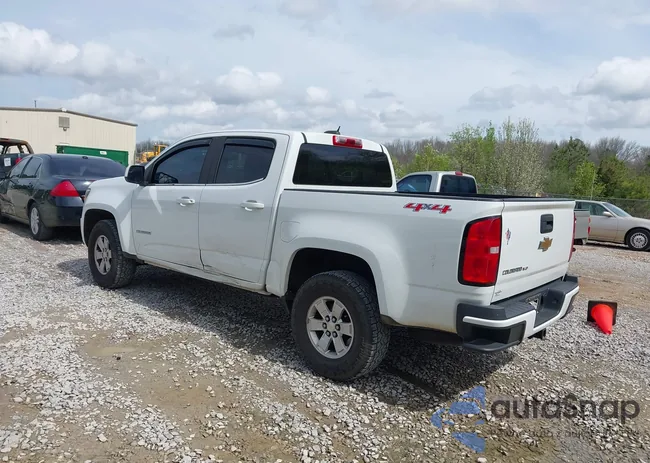 1GCGTBEN2K1249368: 44536317