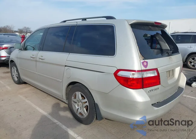 5FNRL38717B411243: 44537294