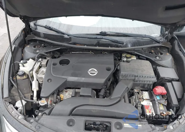 1N4AL3AP9EC405603: 44538752