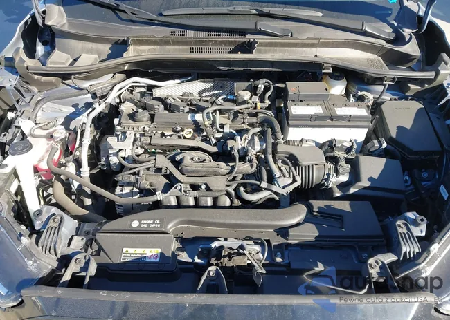 7MUBAAAG1NV009341: 44539786