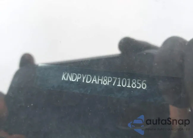 KNDPYDAH8P7101856: 44540039