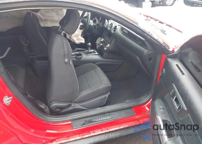 1FA6P8AM5G5308113: 44540077