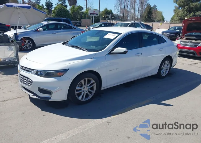 1G1ZE5ST6HF111926: 44541001