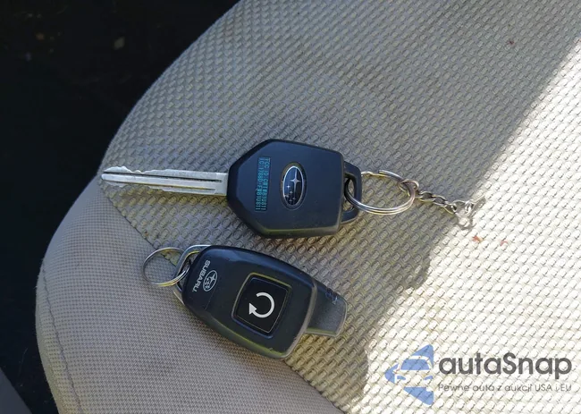 JF2GPACC0E8341026: 44541372