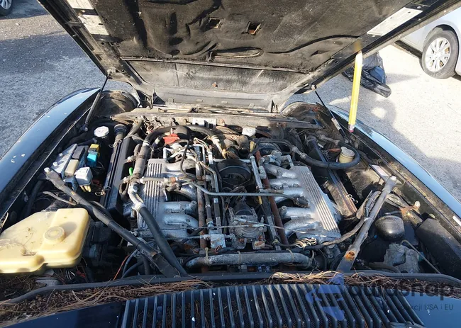 SAJTW4845MC178986: 44542723