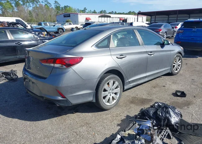 5NPE24AF8JH613823: 44542880