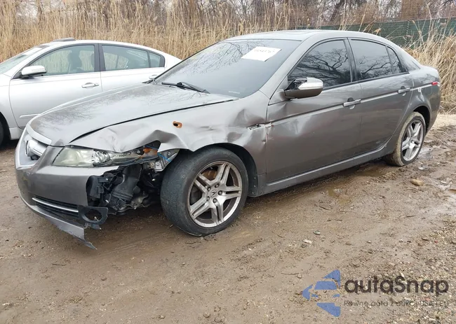 19UUA66217A037686: 44543767