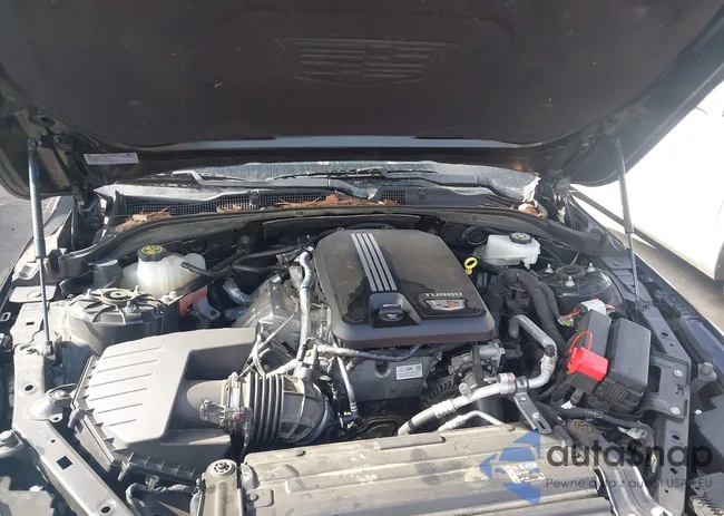 1G6DB5RK9P0127985: 44543917