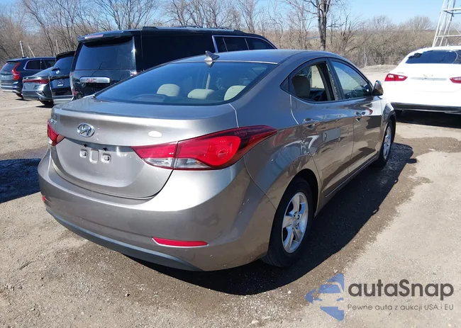 5NPDH4AEXEH512077: 44544008