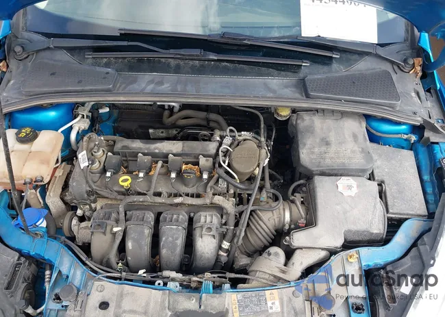 1FADP3K29GL266936: 44544064