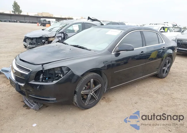 1G1ZC5EB9AF175411: 44544151