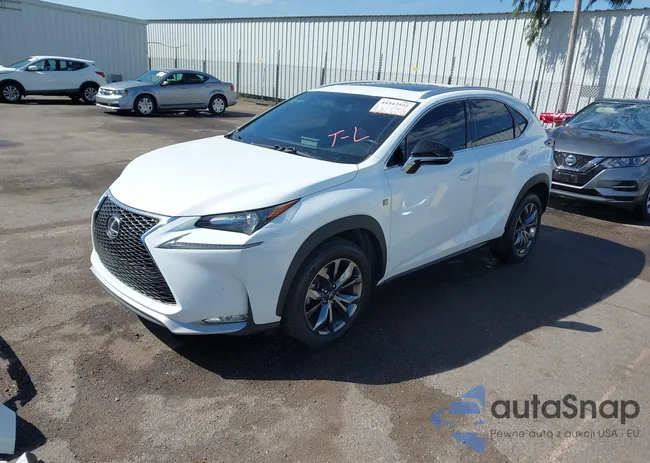 JTJYARBZ6G2049523: 44543522