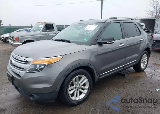 1FM5K8D84DGC96163: 44543558