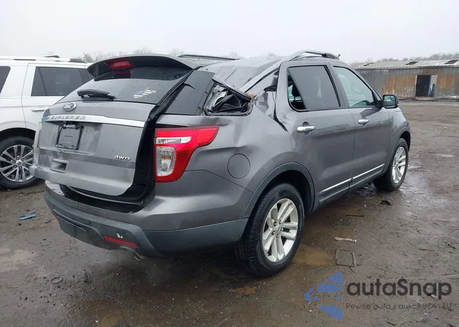 1FM5K8D84DGC96163: 44543558